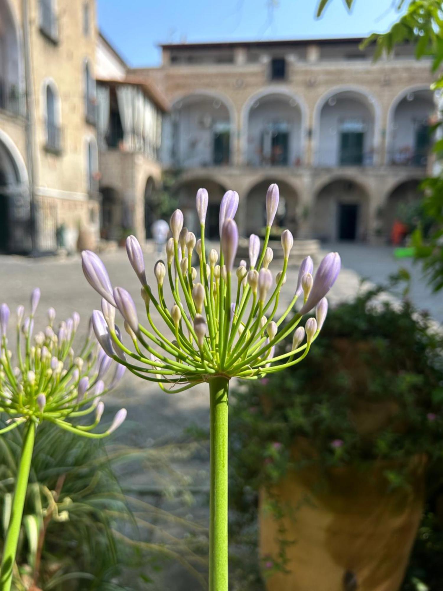 Apartamento Palazzo Capece Caivano Exterior foto